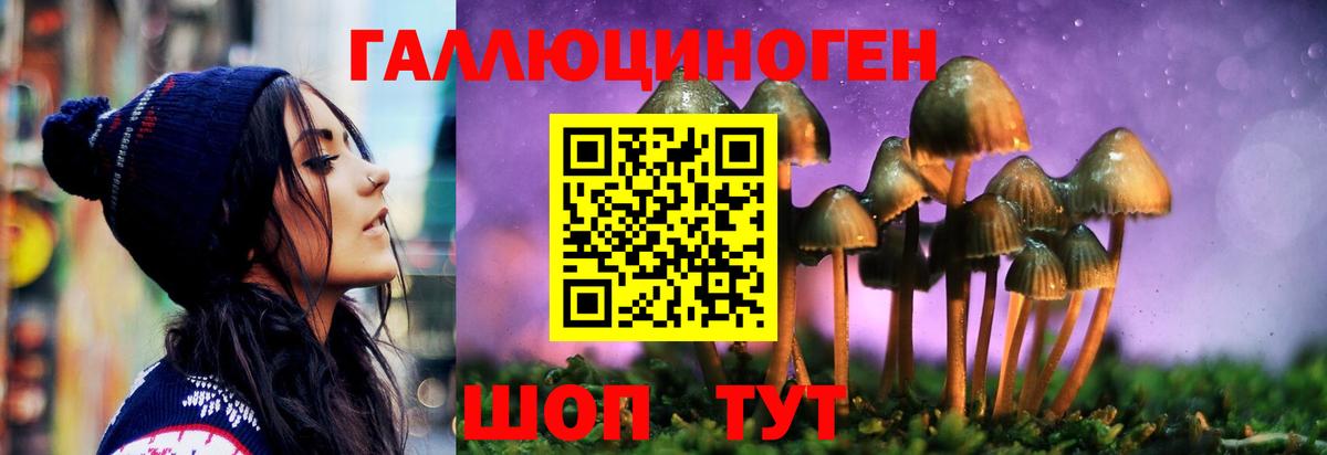 Псилоцибиновые грибы мухоморы  Псилоцибиновые грибы MAGIC MUSHROOMS  Чистополь  Вход с VPN 