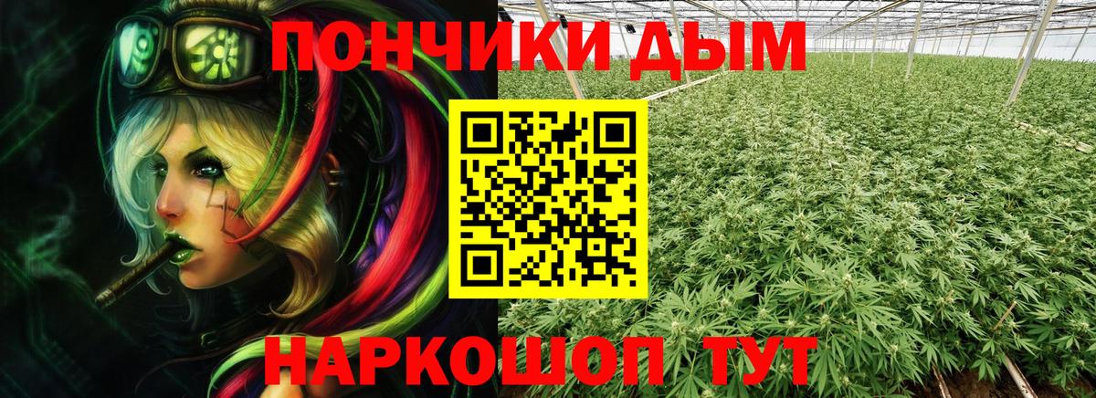 Бошки марихуана ГИДРОПОН  Вход с VPN  Каннабис LSD WEED  Чистополь  МАРИХУАНА SATIVA & INDICA  Бошки марихуана планчик 